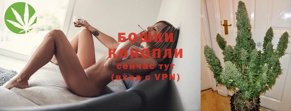 PSILOCYBIN Михайловск