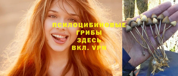 Альфа ПВП Киреевск